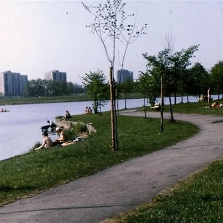 Sinq 카토비체